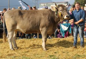 141004Altdorf 149